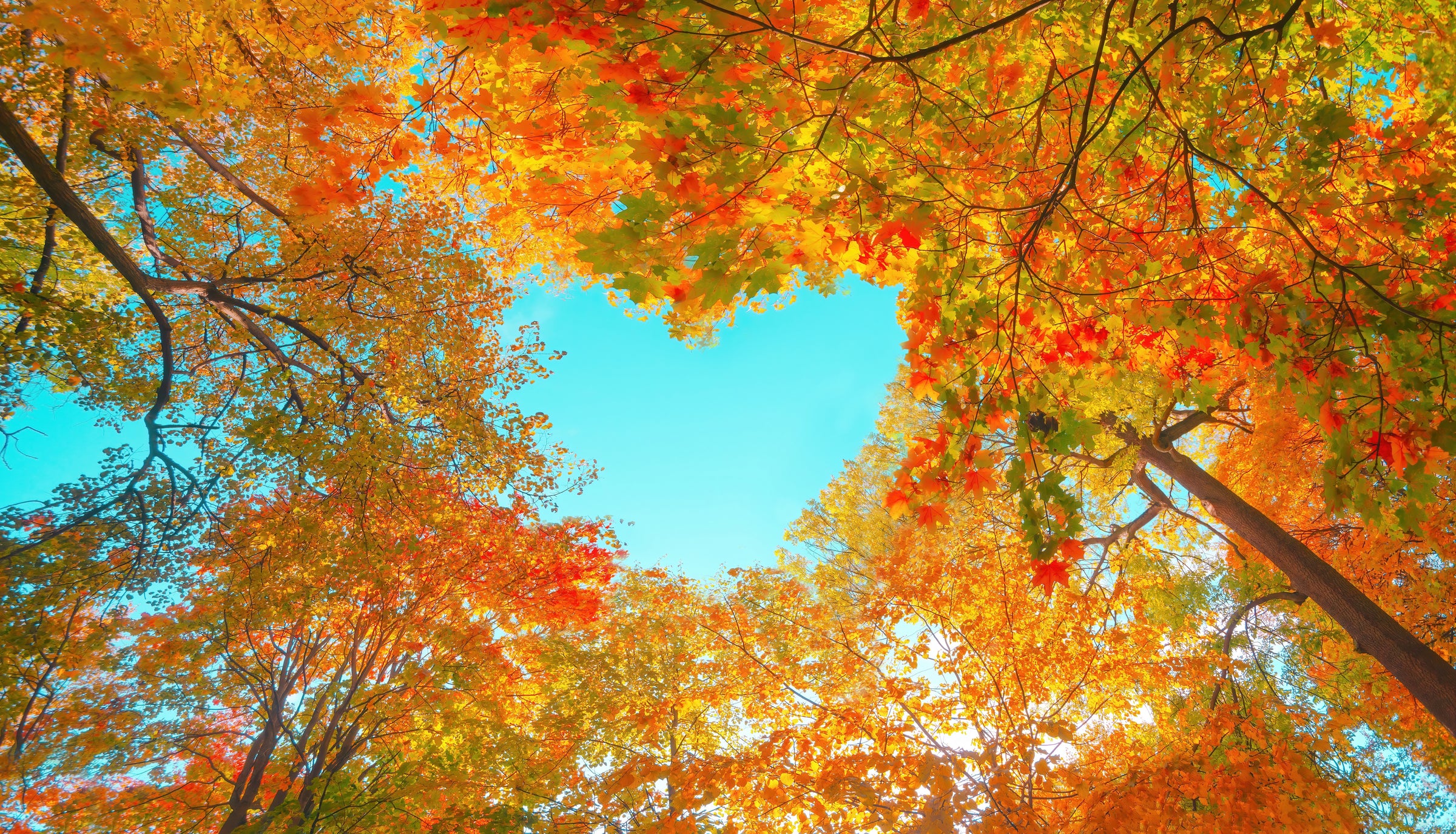 Fall Boxes