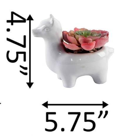 Ceramic Llama With Faux Succulent