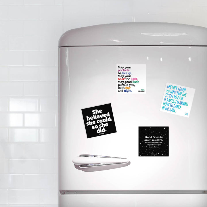 Magnets - She Believed She Could So She Did