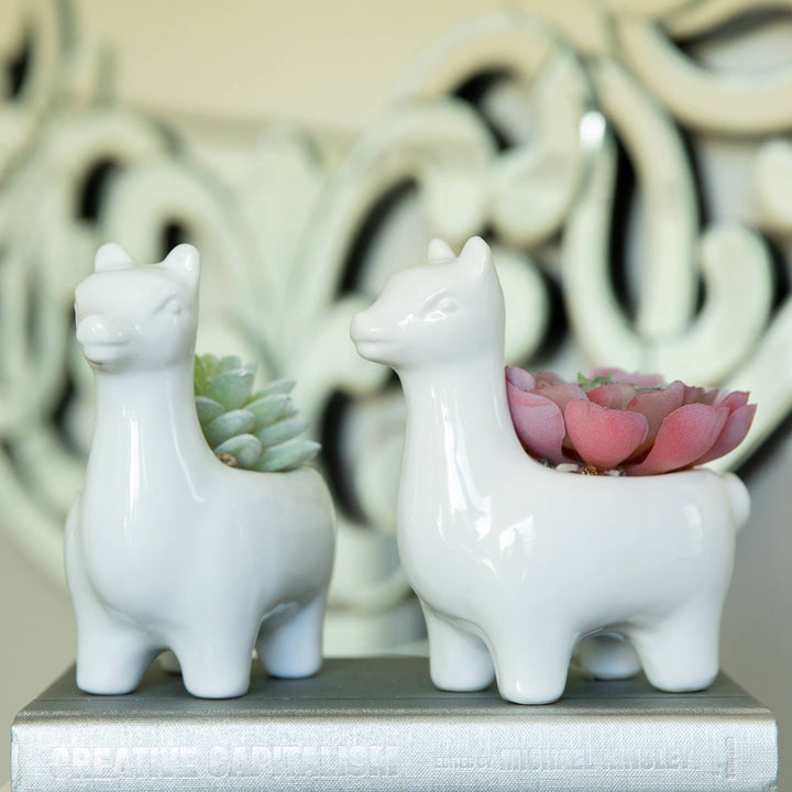 Ceramic Llama With Faux Succulent