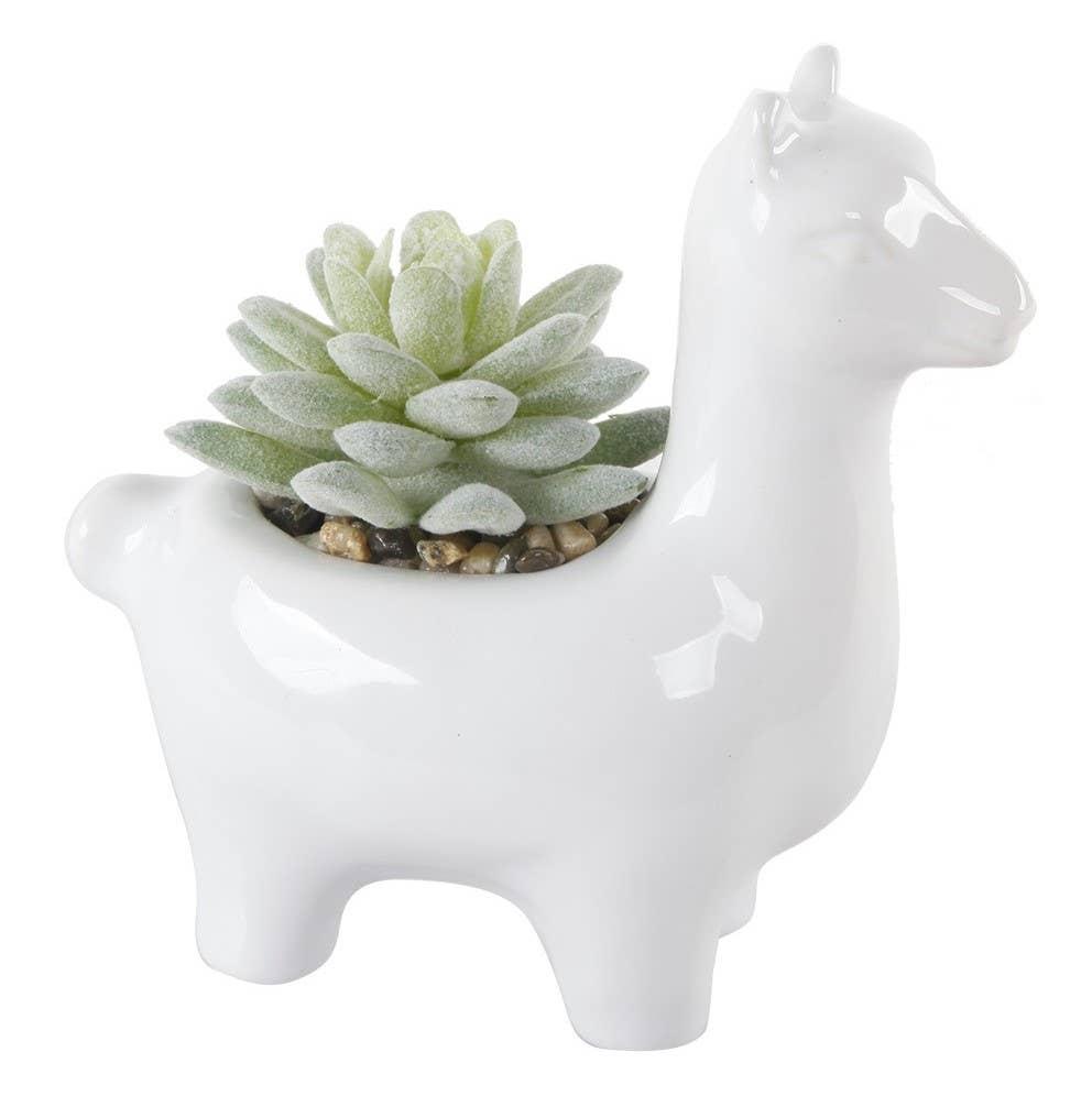 faux succulent white pot Ceramic Llama With Faux Succulent – Boxes by Genna