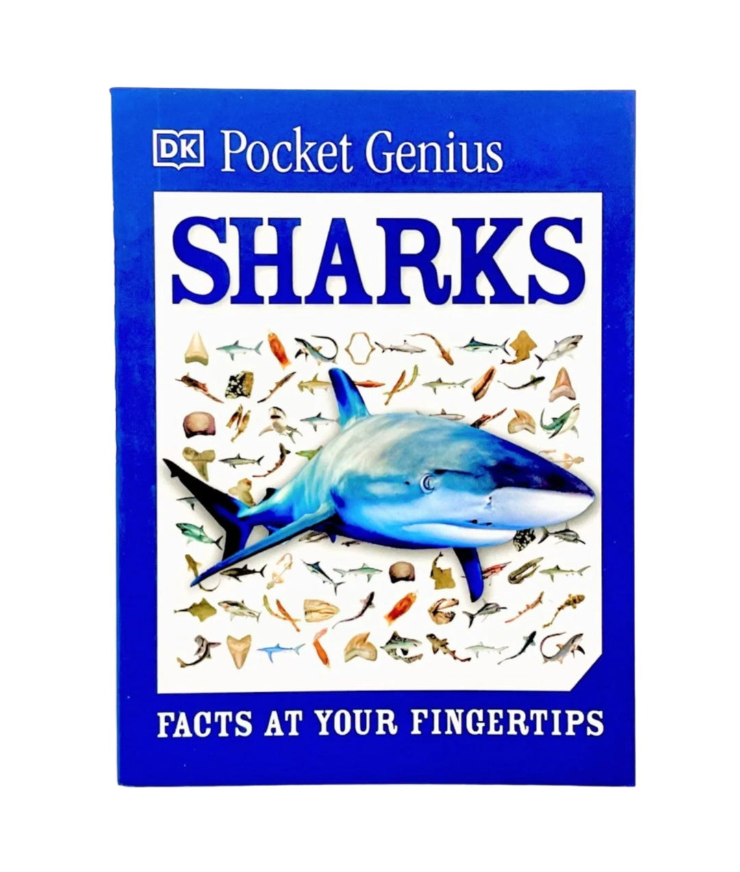 Pocket Genius: Sharks