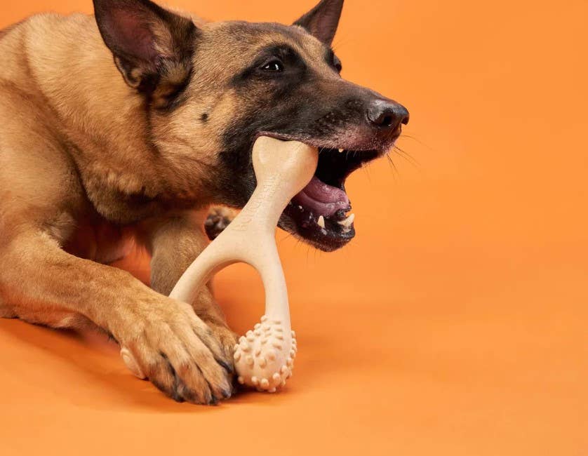 BetterBone Medium Beef Dog Chew Toy