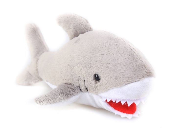 Fin-tastic Shark Gift Box