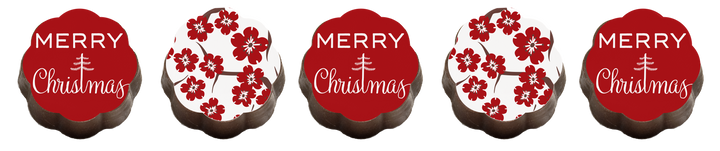 Merry Christmas Chocolates - Box of 5