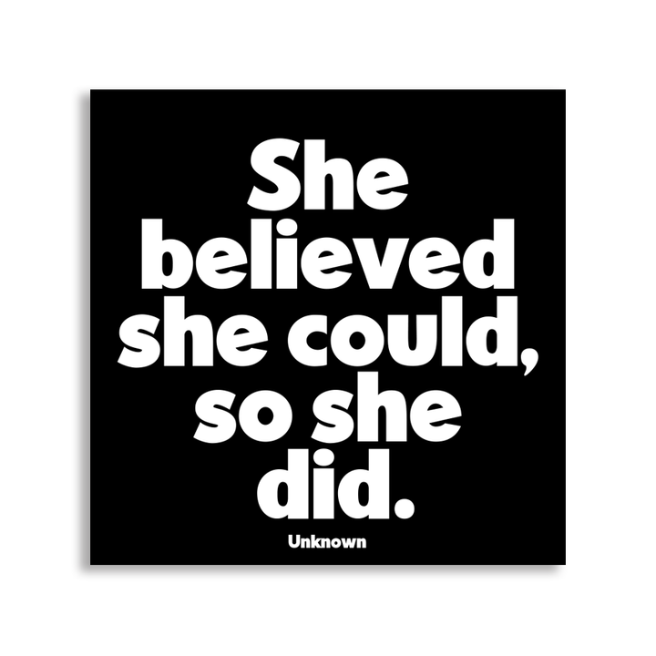 Magnets - She Believed She Could So She Did
