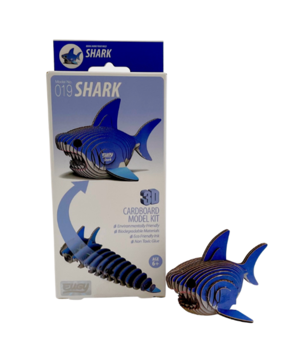 Fin-tastic Shark Gift Box