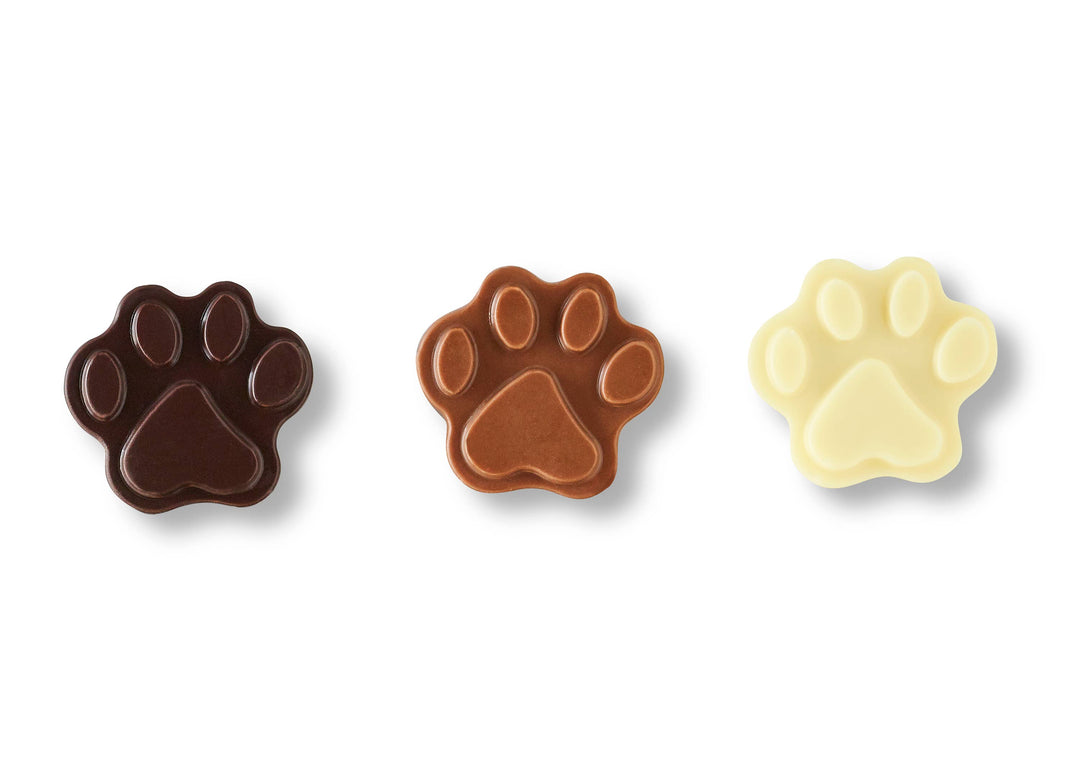 Be Pawsitive Solid Chocolate Dog Paw Prints