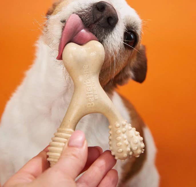 BetterBone Medium Beef Dog Chew Toy