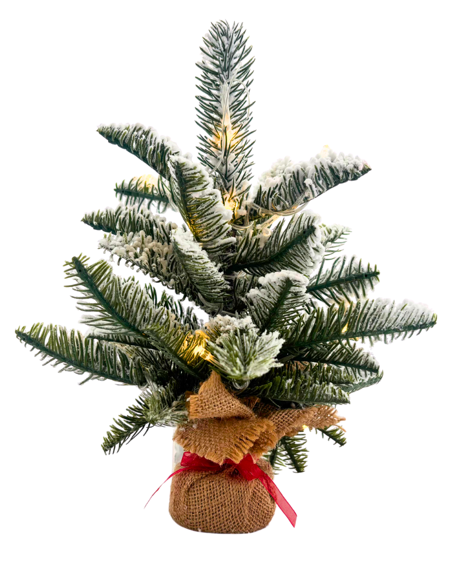 Christmas Tree Gift Box