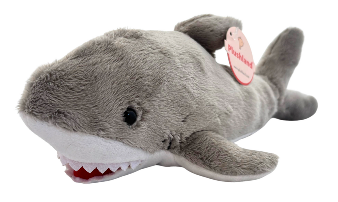 Fin-tastic Shark Gift Box